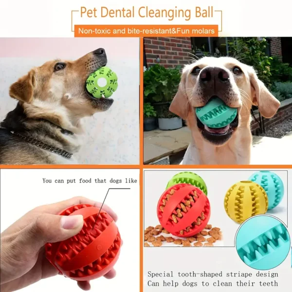Dog Puppy Toys & Teether – Chewing & Face Exercise Ball