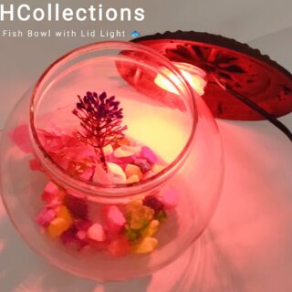Fish Bowl Small with Starter Kit – Complete Beginner’s Aquarium Set