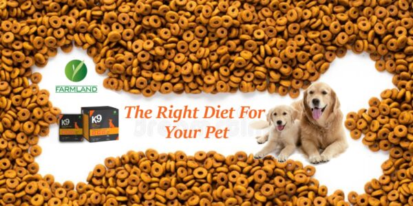 K9 Adult Dog Food – Farmland 5Kg Complete & Balanced Nutrition - Image 2